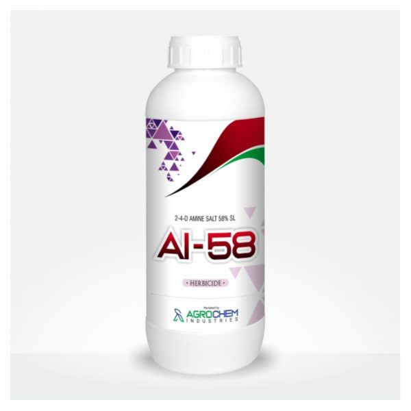 AI - 58