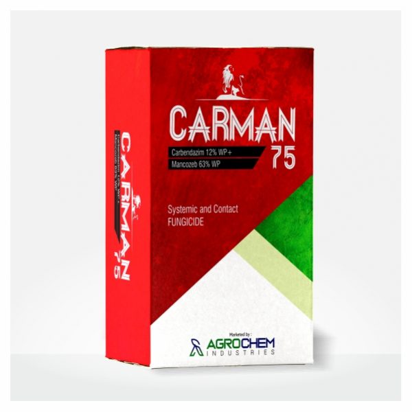 CARMAN - 75