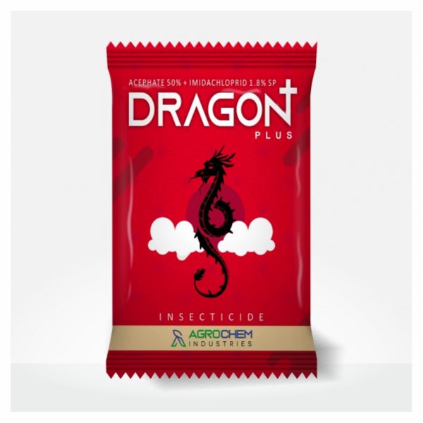 DRAGON +