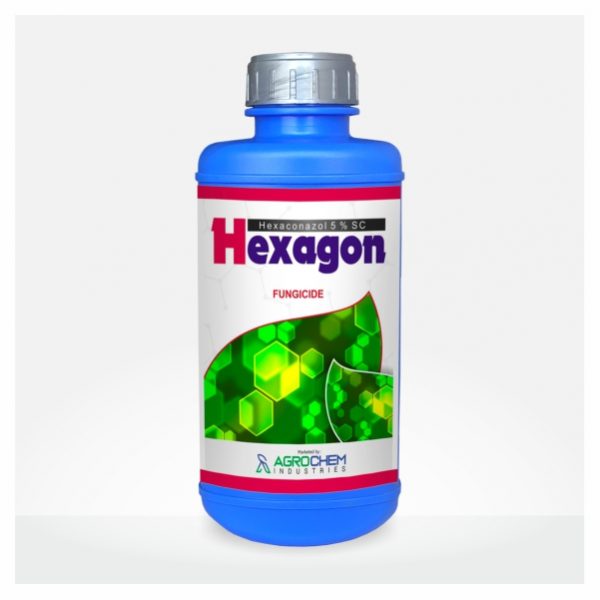 Hexagon