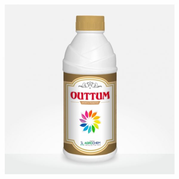 OUTTUM
