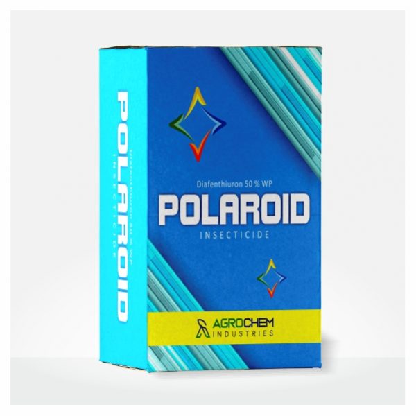 POLAROID