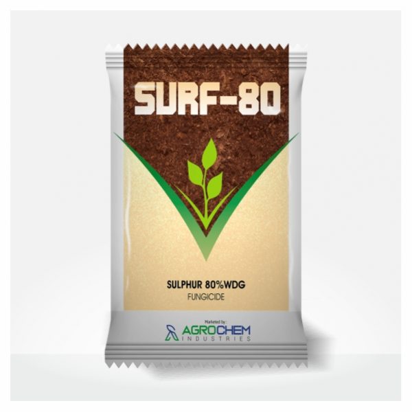 SURF - 80