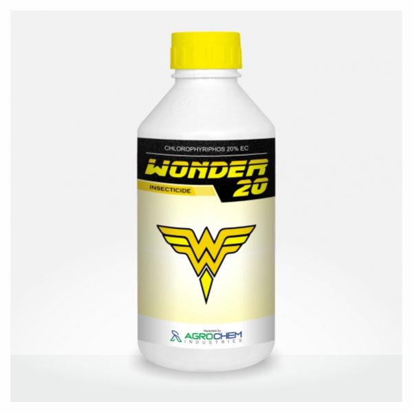 WONDER - 20